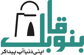 Bano Qabil Registration 2023 Online Last Date | banoqabil.pk